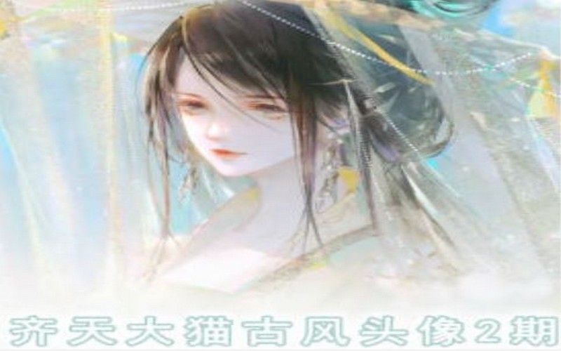 齐天大猫古风头像课第 2 期，提升绘画技能-创业小项目_手机赚钱_小白赚钱-轻创比比格