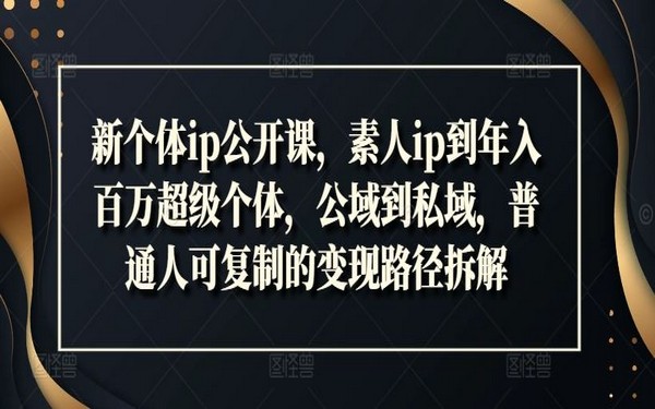 新个体 IP 公开课，解析普通人的百万变现路径-创业小项目_手机赚钱_小白赚钱-轻创比比格