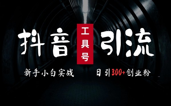 2024工具号引流玩法，日引 300 + 创业粉变现 5000+，小白可上手-创业小项目_手机赚钱_小白赚钱-轻创比比格